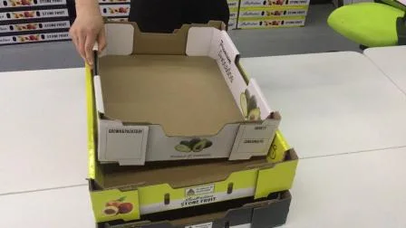Caja corrugada de papel de embalaje de frutas y verduras corrugadas de gran tamaño (FP020007)