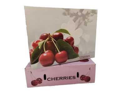 Caja de cartón corrugado plegable impresa para fruta fresca